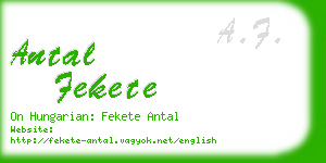 antal fekete business card